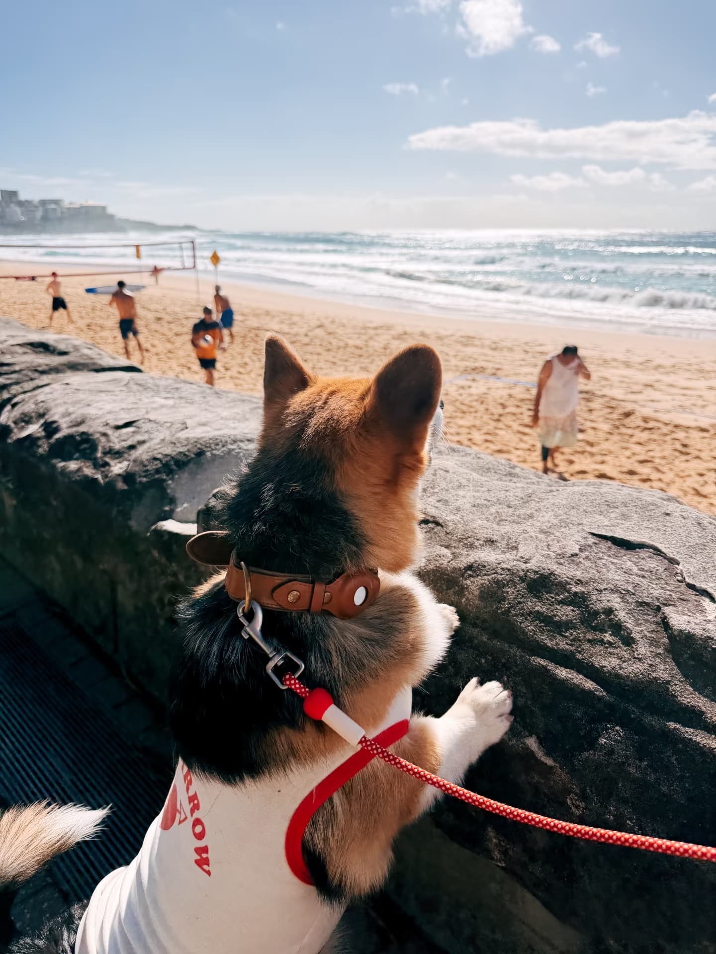 Manly Lagoon to Shelly Beach