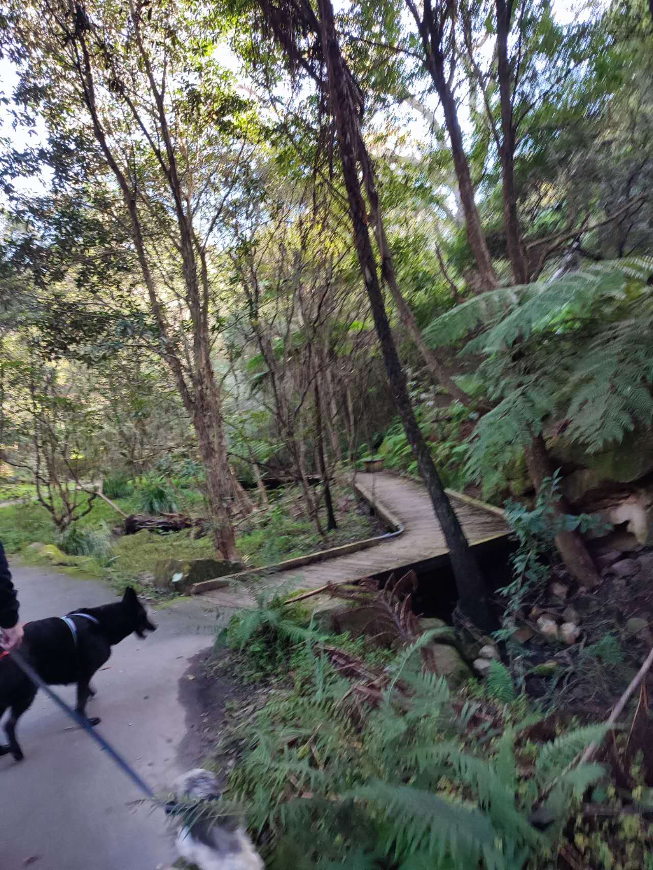 Bicentennial Reserve (Hallstrom Park)