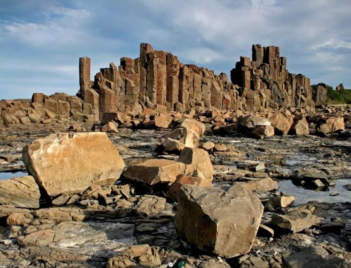 Bombo Headland Dog Agility Park