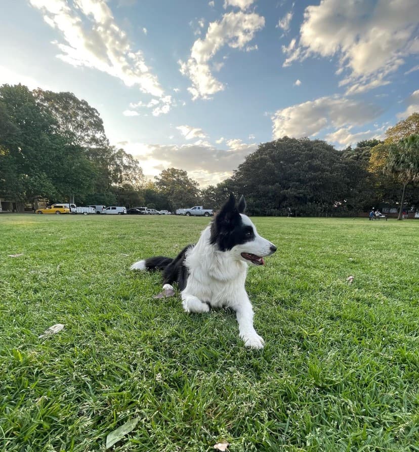 Centennial Park Loop