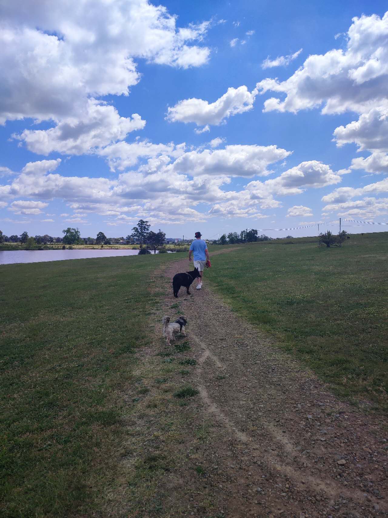 Civic Avenue Reserve