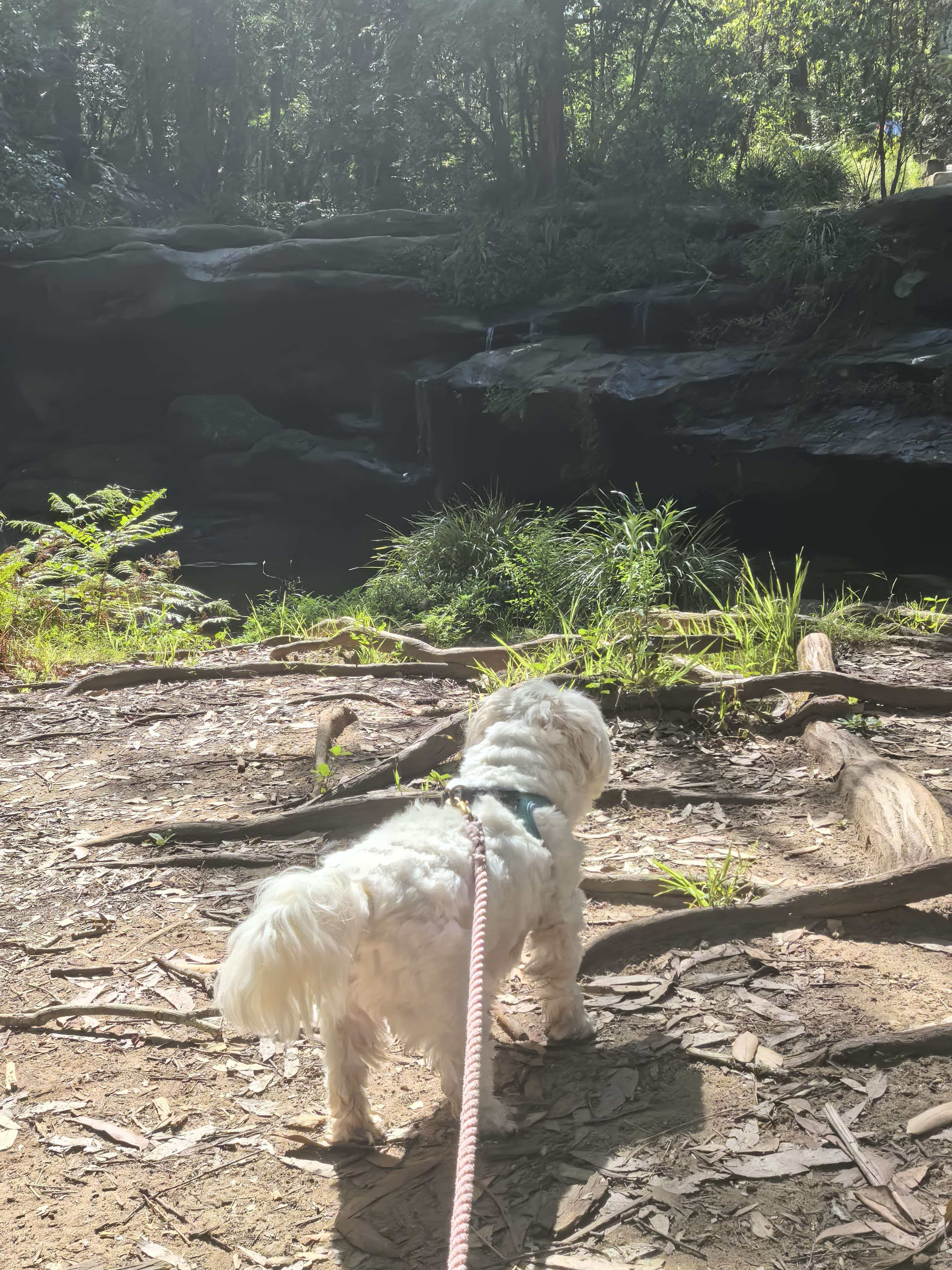 Hunts Creek Reserve (Balaka Falls)