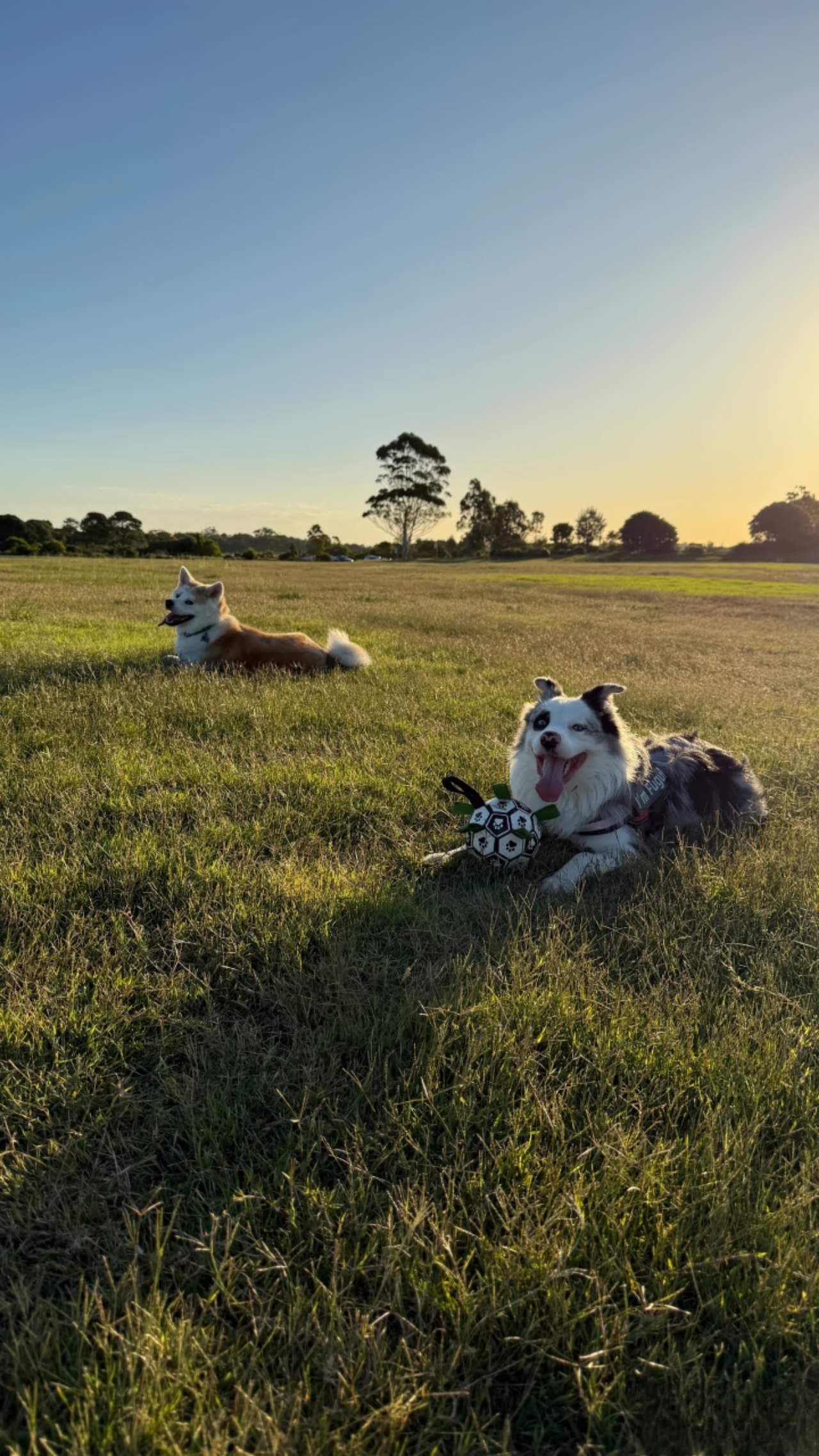 Kaleula Head Reserve