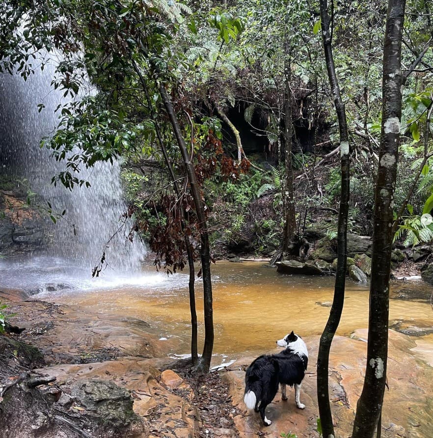 South Lawson Waterfall Loop