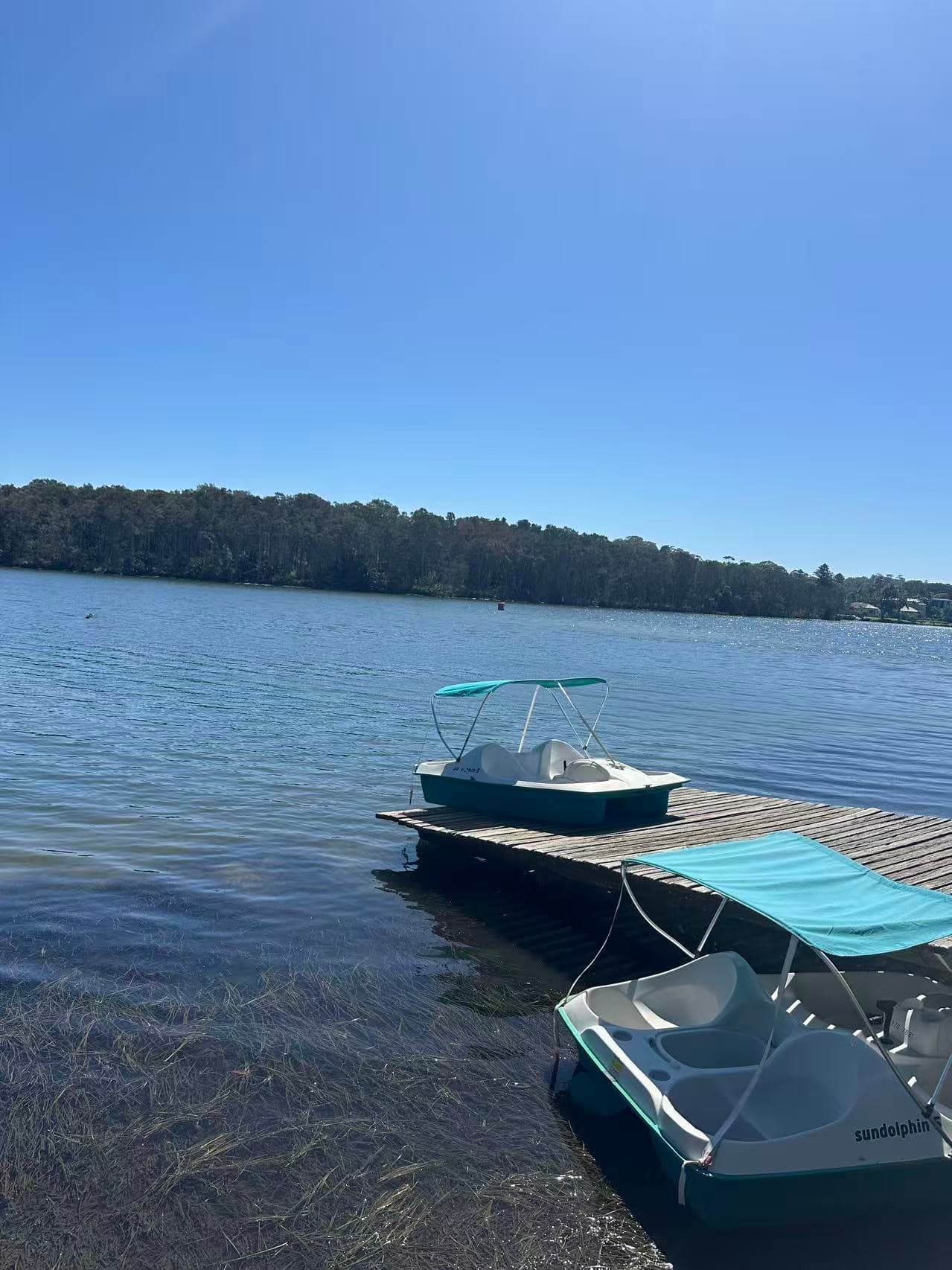 Narrabeen Lagoon Trail: Sydney’s Scenic Dog-Friendly Lakeside Escape
