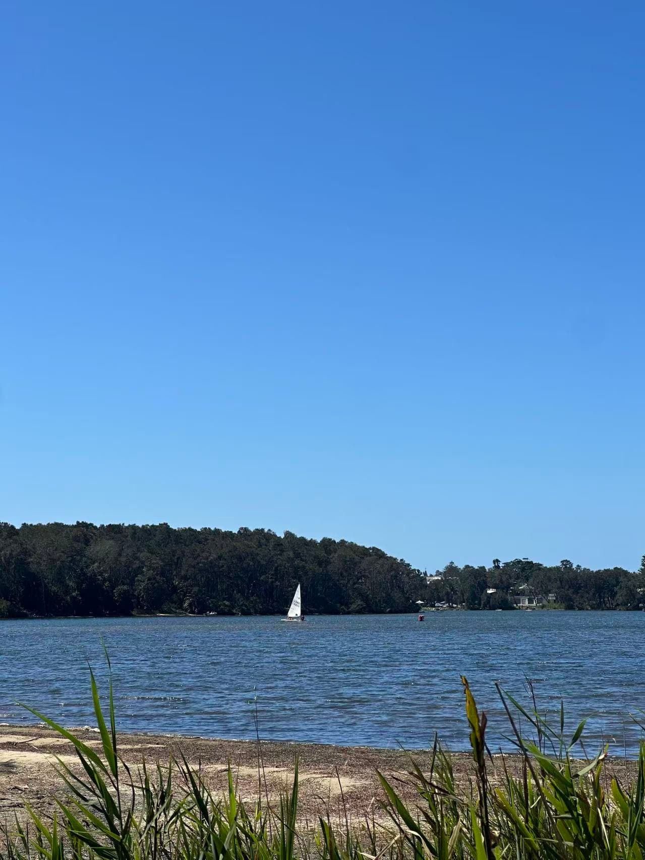 Narrabeen Lagoon Trail: Sydney’s Scenic Dog-Friendly Lakeside Escape