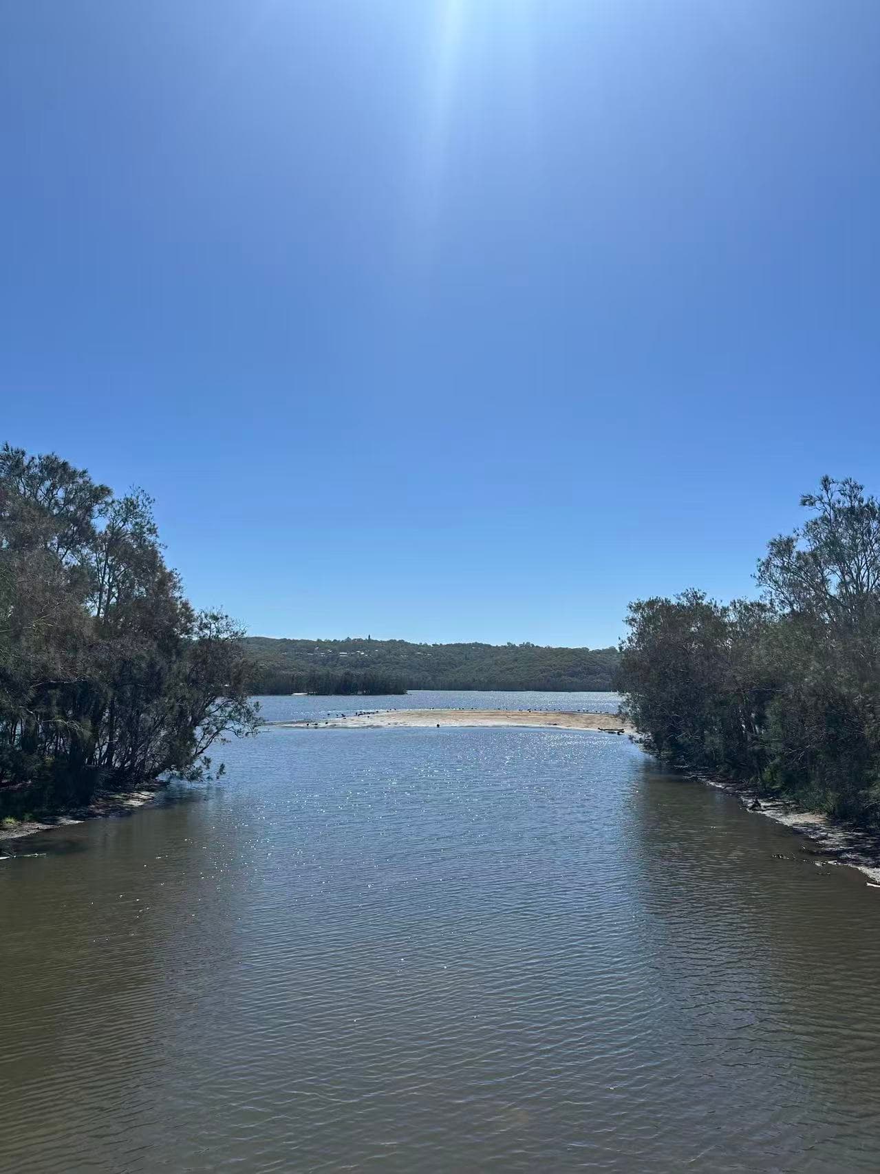 Narrabeen Lagoon Trail: Sydney’s Scenic Dog-Friendly Lakeside Escape