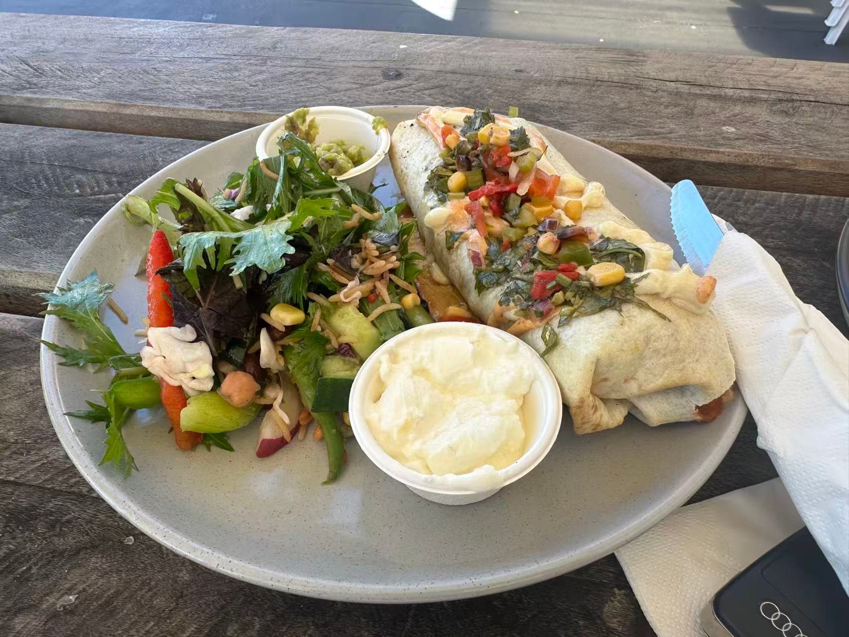Sharky Beach: A Perfect Day Trip from Sydney with Your Pup – Beaches, Bridges & Small-Town Eats